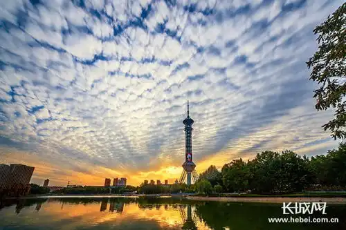 王东峰坚决去主动调加快转,坚定不移以新发展理念引领高质量发展
