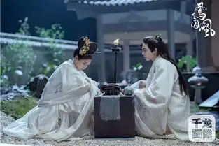 凤囚凰关晓彤身份大曝光行刺计划或将搁浅