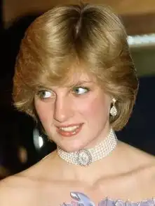 我们现在追求的新奇,不过是上几代人的时髦
