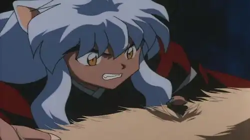 犬夜叉冥加的30个小秘密,犬夜叉父亲犬大将的家臣,见多识广