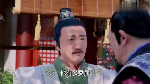 武媚娘传奇琉璃宴杨妃主事,长孙大人立刻懂了皇上的意思