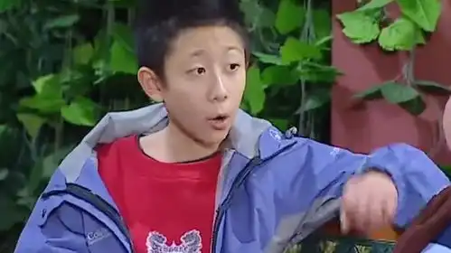 家有儿女刘星跟鼠标科普法律,让他去法院告爸爸
