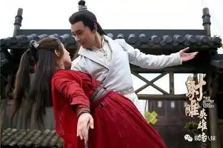 一代枭雄杨康性格与发展
