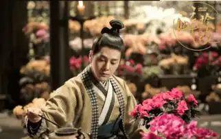 醉玲珑剧照曝光,最亮眼的不是刘诗诗而是素锦
