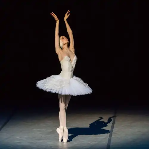 芭蕾女皇亮相天桥剧场来自俄罗斯的爱极致绽放
