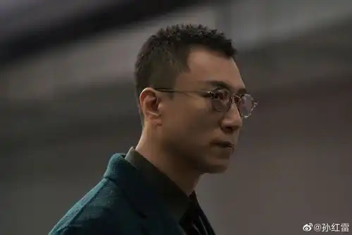 扫黑风暴8月9日开播,孙红雷张艺兴刘奕君联手扫黑
