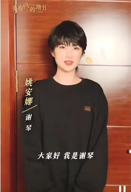 去有风的地方中,姚安娜的演技还是很不错的,未来可期
