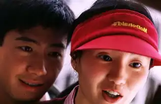 甜蜜蜜1996年陈可辛导演电影搜狗百科

