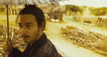 东邪西毒放下头发是年轻时候张国荣吗