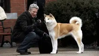 奔高清在线观看