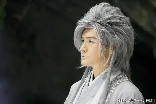 画皮浮生不计回报的付出,终是换来了小唯一句,愿陪浮生永世