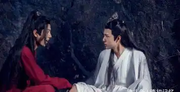 陈情令魏婴是蓝湛的命,蓝湛是魏婴的光,等你归来仍是少年
