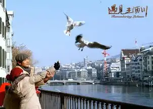 电视剧遇见王沥川主演剧照遇见王沥川安徽卫视