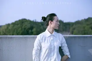 那些年我们追过的白衬衫
