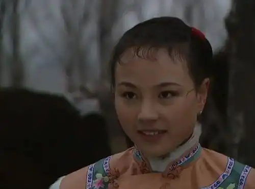 雍正王朝美女角色评鉴,郑春华乔引娣苏舜卿独一档