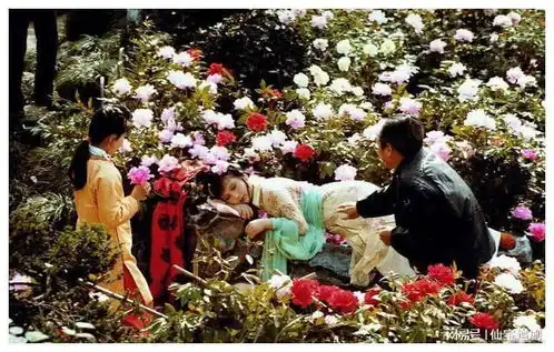 为能留在北京拍戏,她误入姐妹和男人做的局,30年后她荣耀回归
