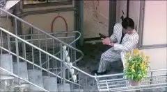 喋血双雄叶倩文知道了发哥的真实身份,与警方合作