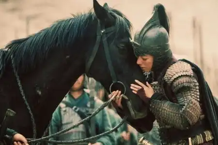 巾帼英雄花木兰代父出征,攻打的敌军是谁花木兰最后结局如何