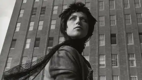 澎湃号澎湃新闻thepaper.cn