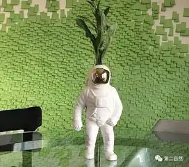 宇宙餐盘用一套餐具开启你的星际穿越
