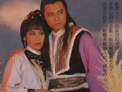 杨康苗侨伟与同剧四位女主饰演过情侣,与翁美玲饰演情侣次数最多
