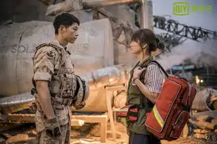 太阳的后裔开座谈会