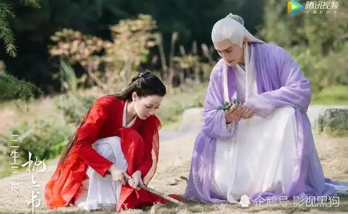 枕上书连宋经历一世,帝君经历三世,而他经历百世,却爱而不得
