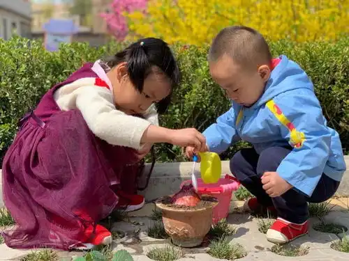 从娃娃抓起平凉市第二幼儿园开展宝贝宅家种植活动
