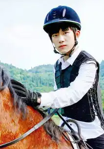 易烊千玺骑马照
