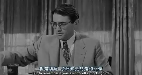 再读哈珀李的杀死一只知更鸟失衡的社会与正义善良的缺失
