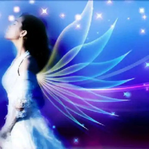 静坐丨隐形的翅膀