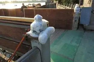 京颐和园被指随意拆卸老物件回应系修缮石栏
