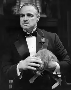 永远的马龙白兰度教父上映44周年
