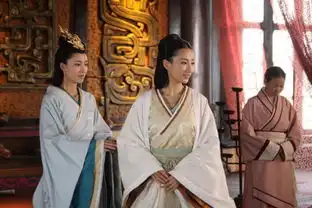 美人心计2010年林心如等主演古装剧搜狗百科
