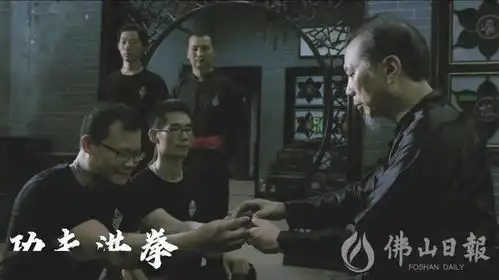 非遗文化央视再讲佛山文化,功夫洪拳年廿九起连播两天
