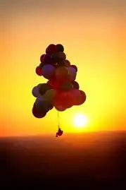 现实版飞屋环游记