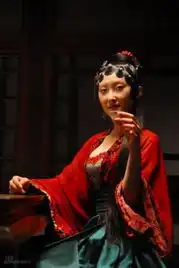 电视剧新红楼梦剧照
