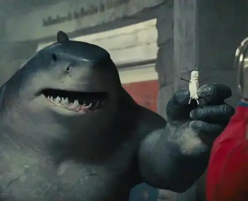 dc自杀突击队集结团宠鲨鱼王5个可爱时刻人气暴涨