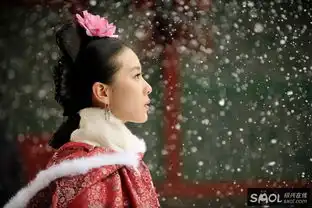 步步惊心唯美剧照