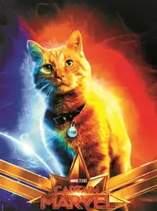 噬元兽橘猫吸睛惊奇队长服药抗过敏

