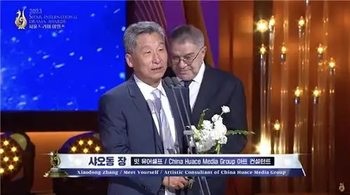 华策影视去有风的地方获首尔电视剧大赏最佳长剧
