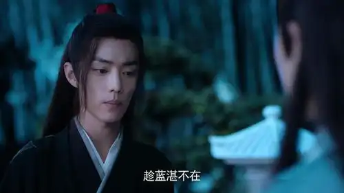 故事66十三年寻婴录蓝忘机十分宝贵他们两人的欢乐时光