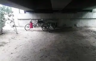 为供孩子上大学,男子来郑州打工蜗居立交桥下