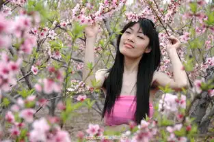 桃花妹妹专辑光色