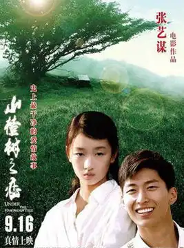 张艺谋导演的18部电影剧照欣赏
