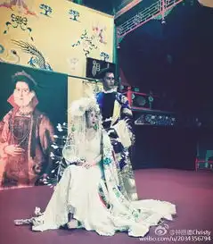 钟丽缇白纱京剧新娘装咬唇自拍眼神妩媚
