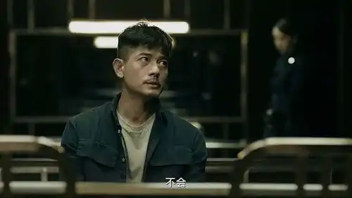 无双假阮文和李问配合太默契了,让警方对李问编的故事深信不疑悬疑推理片
