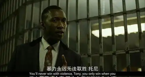 奥斯卡被中国市场理性对待,除了绿皮书和罗马都没有引进
