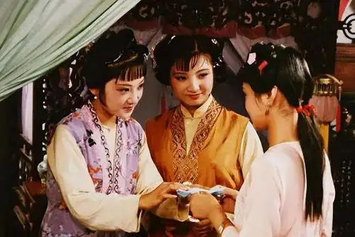 古代丫鬟多少钱能买一个买了可以能让她干啥你买得起吗
