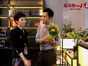 最美的时光2013年钟汉良张钧甯主演电视剧
